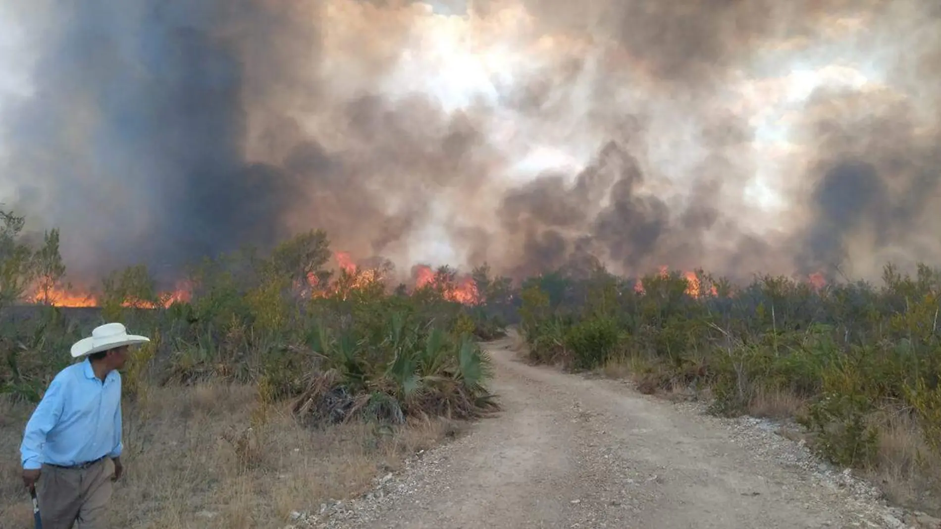 Incendio forestal en Tepexi y Ahuatempan